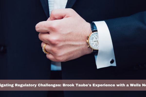 Navigating Regulatory Challenges: Brook Taube's Experience with a Wells Notice
