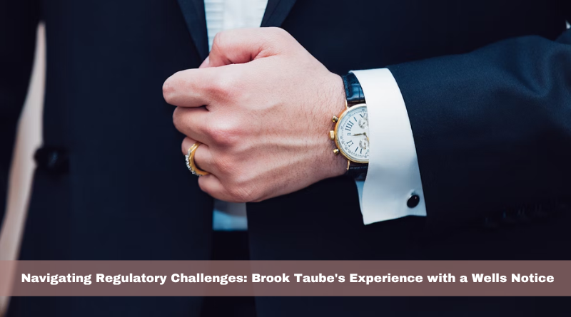 Navigating Regulatory Challenges: Brook Taube's Experience with a Wells Notice
